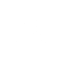 loginIcon
